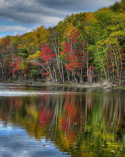 autumn trees lake color reflection tree ice colors wisconsin harrison hill hills trail age
