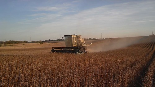 soybeans gleaner gleanerf2combine