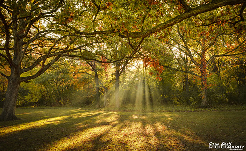 light sun fall sunrise illinois dynamic 5d 24mm kanecounty forestpreserve hdr saintcharles lightrays bracketing fabyan photomatix aeb pertl