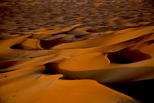 africa sunset sea sunrise canon sand desert camel morocco merzouga saharadesert desertsunrise desertphoto africaphotography meruga sazzoo robwhittaker mehruga robwhittakerphotography sazzoocom moroccophotography sandseam