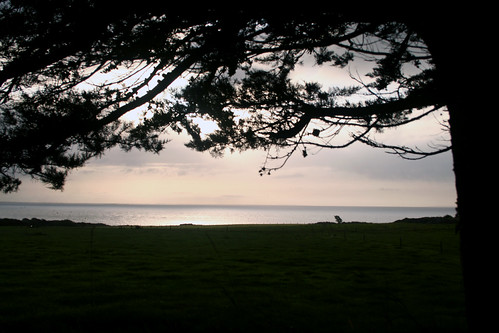 county ireland sea tree sunrise dawn frame framing wexford ir1 fethard fethardonsea