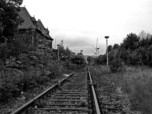 trees abandoned overgrown grass station germany track saxony db disused bushes standardgauge gernrode harzmountains