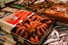 octa (octopus: sea creature that has 8 tentacles)