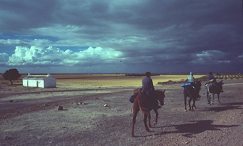 horses weather clouds spain donquixote horseback lamancha