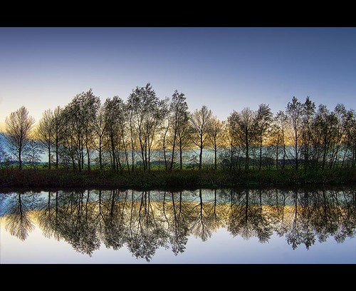 blue trees sunset sky lake holland reflection nature water netherlands up canon photography mirror photo pond stock surface powershot stockphoto lined stockphotography goudriaan wpk s95