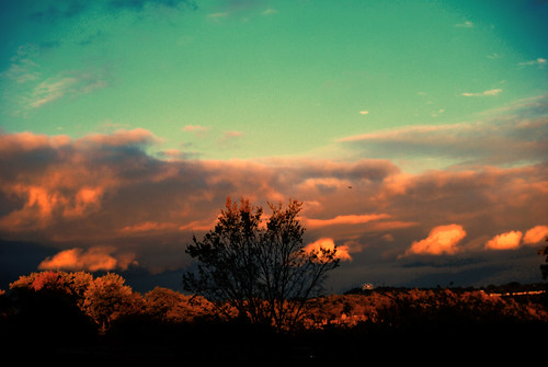 world sky usa sun tree weather clouds america evening amazing pittsburgh pennsylvania horizon pa universe inspire mygearandme