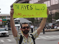 'The 'Ayes' Have it? Who you try'n to Fool?'