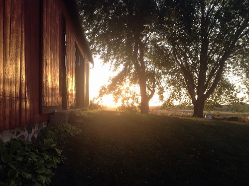 sunset sun dairybarn snapseed iphone4scamera midwesternsunset