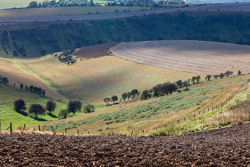 england colour texture walking landscape sussex countryside view earth walk country september browns greens fields southdowns 5minsfromhome
