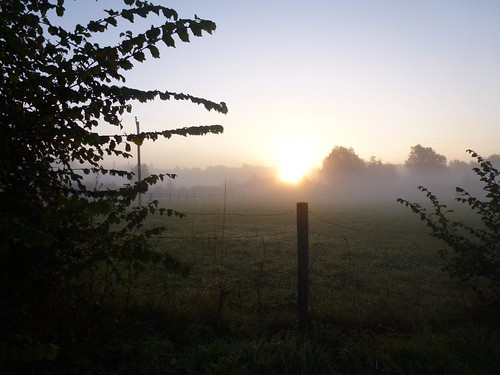 new morning england sun mist field sunrise dawn day britain country essex paddock bures