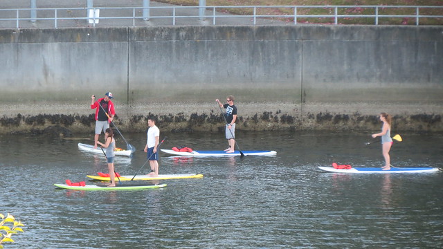 Stand Up Paddlers