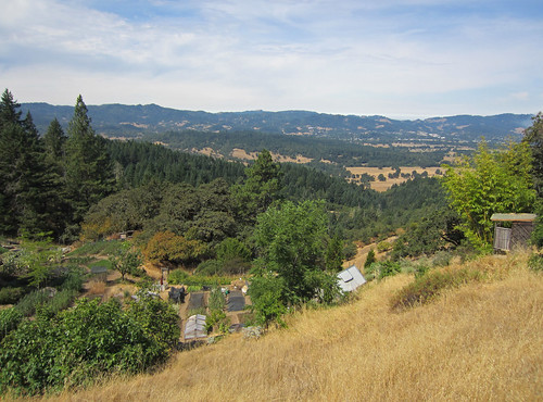 california farming 2012 willits mendocinocounty biointensive ecologyaction