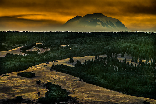 oregon forest evening washington twilight fav50 fav20 forestfire mtadams fav30 firs fav10 fav40 fav60 fav90 fav80 fav70