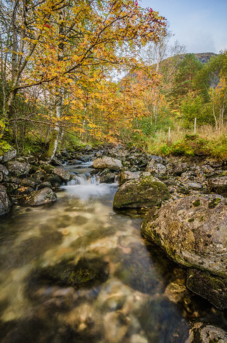 autumn bw plant tree nature water norway river landscape mono norge nikon rocks stream møreogromsdal vartdal norwegan liadalen ndgradfilter møreandromsdal d7000 nikkor1024f3545gdxed