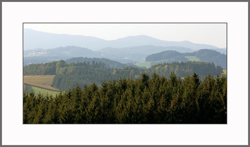 autumn forest haze herbst prag wald bavarian wanderung dunst bayerischer updatecollection