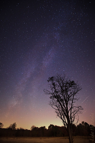 park ohio tree nature night stars landscape outdoor earth space horizon galaxy astrophotography heavens lightpollution milkyway comos oakopenings