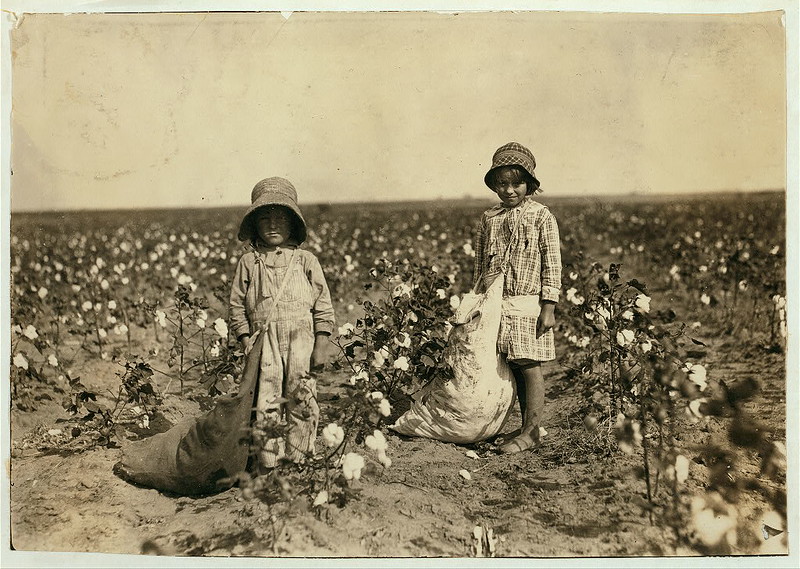 Jewel and Harold Walker, 6 and 5 years old, pick 20 to 25 pounds of cotton a day ... Location: Comanche County ... Oklahoma (LOC)