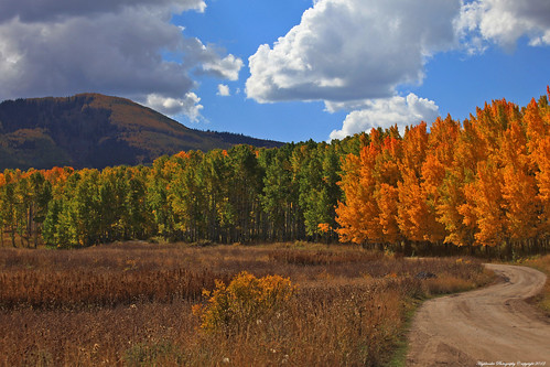 autumn fall colorado colorful highroad