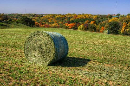 autumn trees usa color green fall nature leaves wisconsin rural landscape photography image pentax farm country photograph round hay hdr bail 2012 k5 photomatix kohlbauer hardpancom marckohlbauer