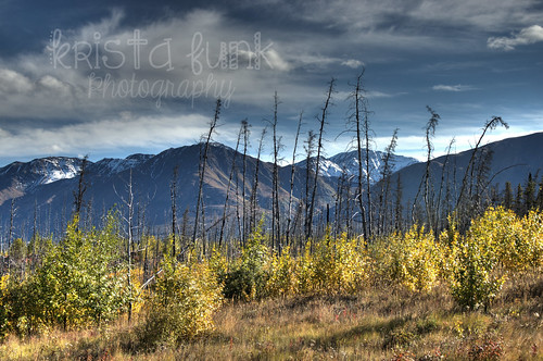 autumn mountains fall landscapes scenery hdr alaskahighway yukonterritory