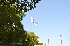 Finnish Flag