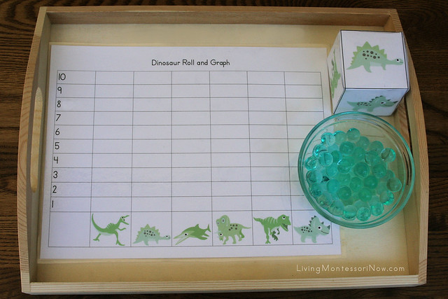 Dinosaur Roll and Graph Tray