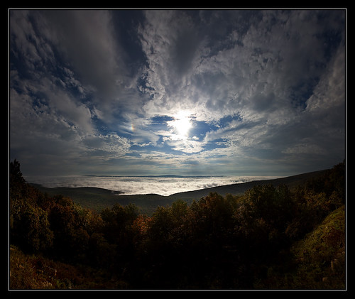 trees light sky sun mist fog sunrise rocks wv westvirginia valley rays sleepycreek cacaponstatepark morgancounty