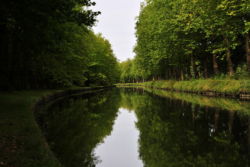 trees canal arbres loing