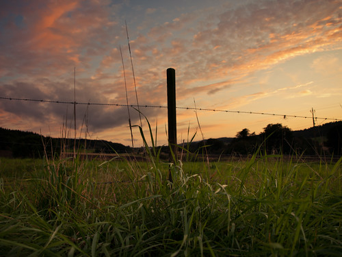 sunset sky sunlight field grass clouds fence landscape wire sweden bokeh swedish pole friday fenced barbed hff fencedfriday