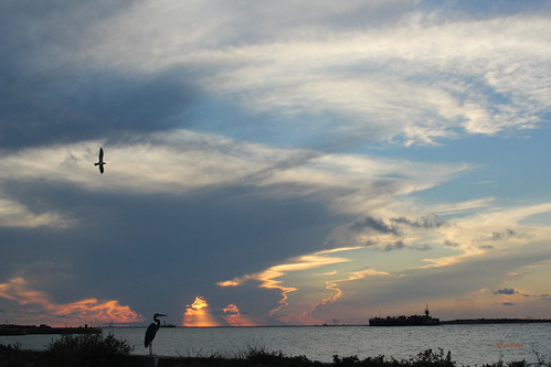 sky birds clouds texas ships sunsets shipchannel portaransastx texascoastalbend charliespasture
