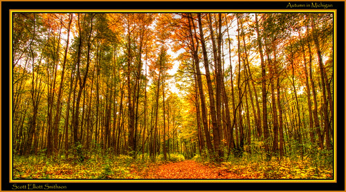 autumnfoliage nature leaves forest canon scott eos leaf woods michigan fallfoliage trail 7d hdr smithson algonac photomatix stclaircounty michiganstateparks autumnforest fallforest eos7d autumnwoods algonacstatepark mygearandme dtwpuck scottsmithson scottelliottsmithson