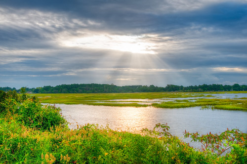 sun green water grass river ray marsh sunrays lowcountry marshgrass