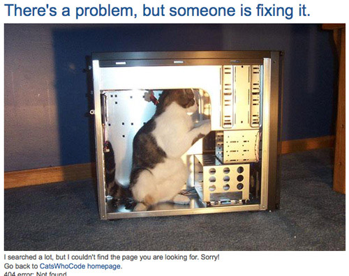 Trang báo lỗi 404 vui nhộn của Catshowcode