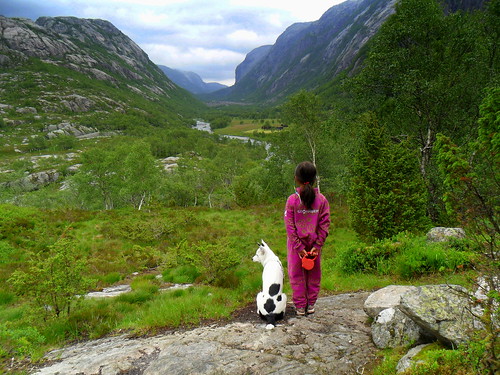 dog white black mountains tree green nature girl norway river puppy scenery scenic valley rogaland