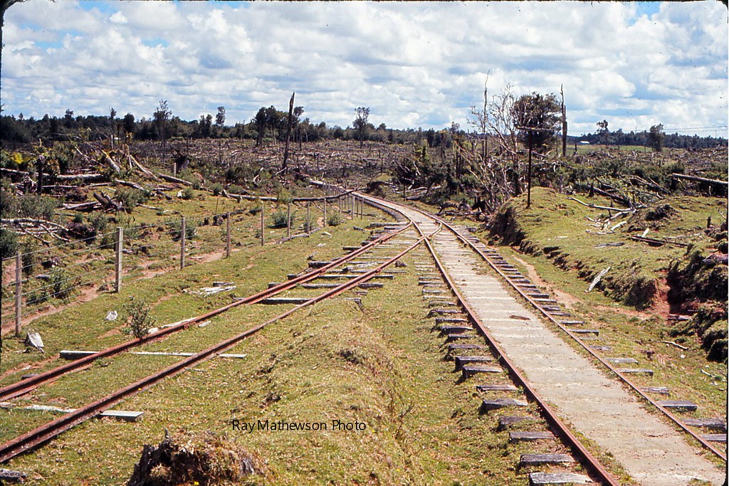 Siding near first road crossing 4 miles from Mamaku mill Feb 1971