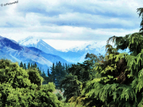 blue trees newzealand cloud mountain green nz southisland southernalps conifers hurunui hanmer hanmersprings