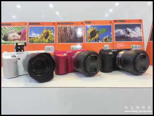 Interchangeable Lens Camera Promotion by SenQ - Sony NEX-F3K - Color Black, White, Pink