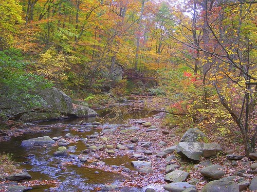 autumn red green fall water leaves yellow creek virginia leaf rocks stream va blueridgeparkway blueridge ottercreek wschallengeone