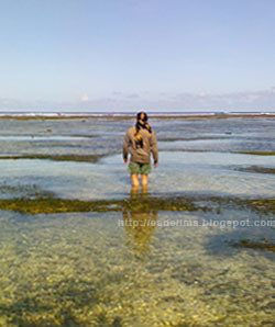 Pantai Serangan Bali - http://esdelima.blogspot.com