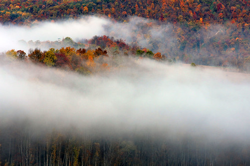 autumn fog pennsylvania october2012