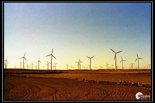film photography photo wind kodak viento olympus generators pelicula expired carrete molinos analogica analogic om4 lamuela generadores caducada dvieytes