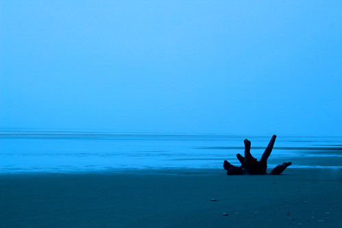 ocean blue beach nature water silhouette canon landscape atmosphere driftwood washingtonstate t4i matthewreichel