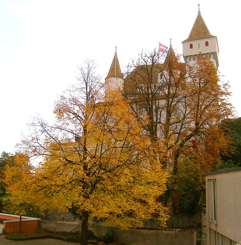 autumn trees castles leaves switzerland evening october museums towns lakegeneva vaud nyon verticals lacléman suisseromande