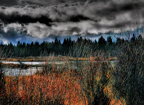 canon river landscape eos scenic hdr westyellowstone madisonriver pseudohdr 40d falsehdr eos40d landscapewestyellowstone