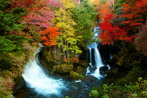 紅葉 日光 龍頭の滝 日本の滝百選