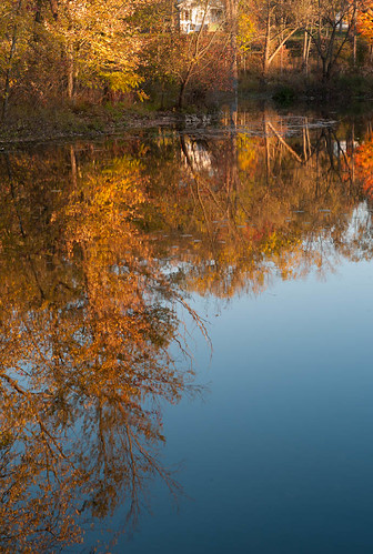 autumn river season landscape manchester fallcolor michigan raisin washtenawcounty