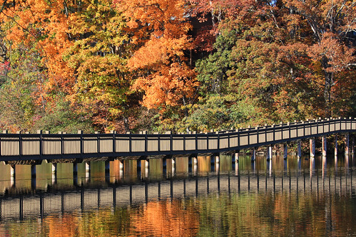 bridge autumn trees lake fall leaves reflections footbridge northcarolina lakejunaluska waynesville junaluska turbeville haywoodcounty img4394212345 santapleasebringmeawideanglelens