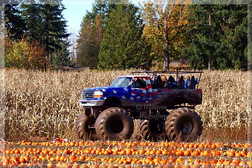 autumn trees fall halloween field truck landscape washington corn farm flag pumpkins american pumpkinpatch redwhiteandblue monstertruck buckley starandstripes marisfarms