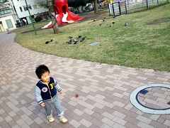 朝散歩 - タコ公園 (2012/11/1)