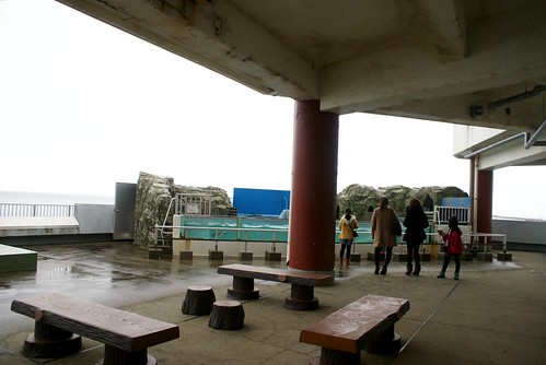 寺泊水族博物館2012冬